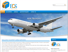 Tablet Screenshot of expertcargoservices.com